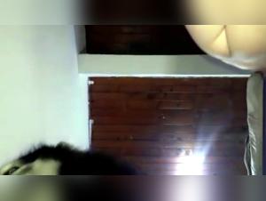 First Sex Experience with a Dog