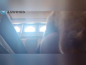 teen ravaged by her dog at home - homemade