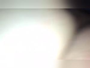 An evening of bestiality and zoophilia