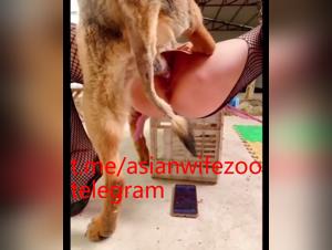 asian girl wild love with dog