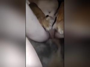 hard dog sex: animal bestiality porn