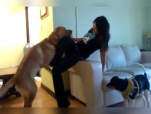 Asian subjected to the bestial love of a dog