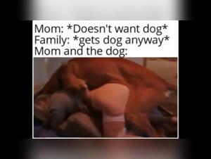 Forbidden Desires: Dog Blowjob and ZooYouPorn
