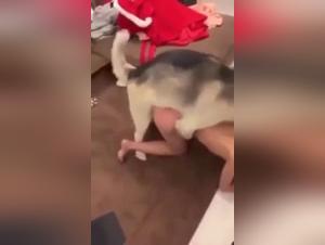 Woman subjected to a dog: a shocking bestiality video