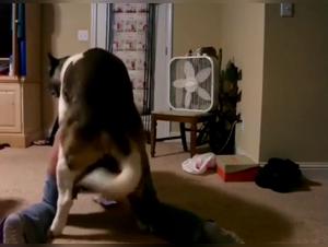 amateur submits to doggy style with her obsessed lover
