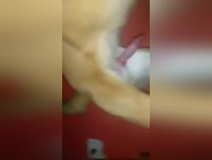 Bestiality and extreme pleasure