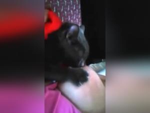 Forbidden Meeting: Woman and Dog