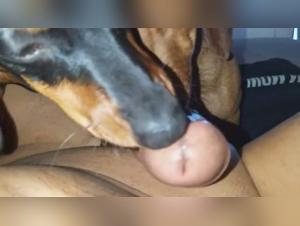 Moments of intense pleasure with my little mascots