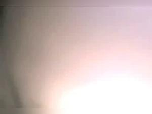 Woman and Dog: A Bestial Encounter