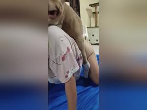 Dog Baise Meuf