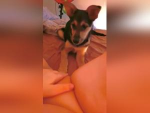 Sex with dog: young girl and her dog