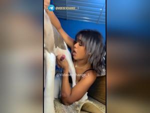 Video: Hund verletzt eine Frau