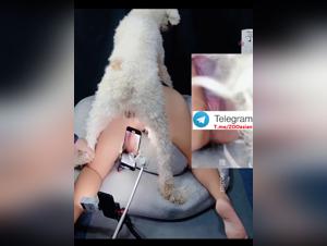 Petite asiatique baisée par grand chien