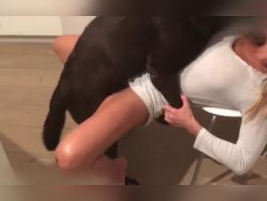 Dog sex video: a woman and her canine companion