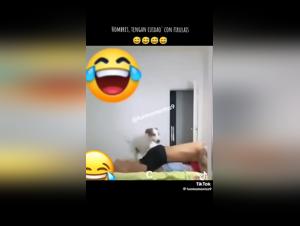 Bestiality sex video featuring a dog and his mistress