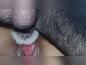 Amateur Wife and Dog: An Intense Bestiality Sex Experience