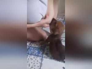 Woman and Puppy: An Unexpected Meeting