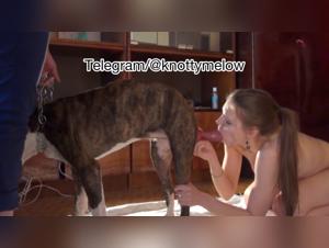 A young Russian woman sucks a dog
