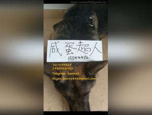 Businesswoman and Dog: A Sensual and Unexpected Encounter