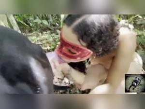 Zoophilia videos featuring dogs and humans