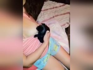 Cat and Animal Lovers Found Their Site Here!