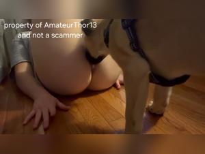 Pussy Dog Leck