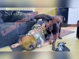 Experience the Thrill of Bestiality with NEW VID ZOO