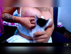 bestiality compilation