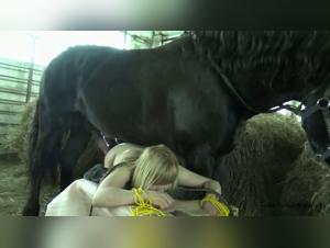 Russia Horse Lovers - Watch Bestiality Videos of Women and Horses in Hardcore Scenarios