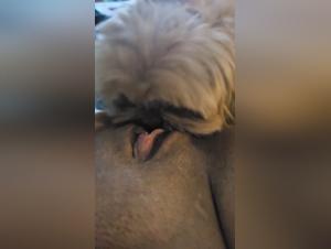 Extreme bestiality: a woman and a dog in a hard sex scene