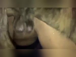 Woman and dog in shocking zoophilia video