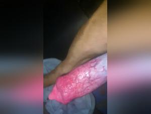 Love Knot: A forbidden love story with a dog