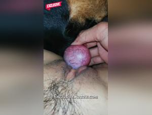 Woman and dog: a story of love and passion