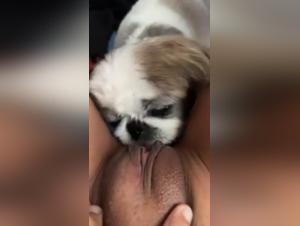 Extreme zoophilia video with an ebony teen