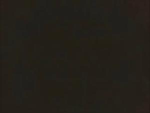 Bestiality: Dog and amateur woman in a shocking video