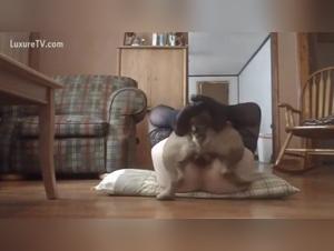 milf riding dog missionary style