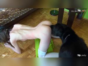 fantasy canina: ashley bajo el poder del perro