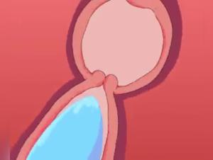 Forbidden Intimacy: An Extreme Beastly Experience