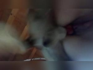 Safadinho - A girl and her dog in a shocking bestial scene