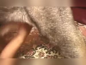 Slender Girl Gets Fucked by a Dog - Beastiality Hardcore