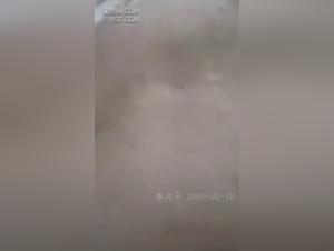 Extreme Zoophilia Videos