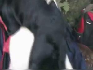 Mature woman and dog: a bestial and sensual encounter