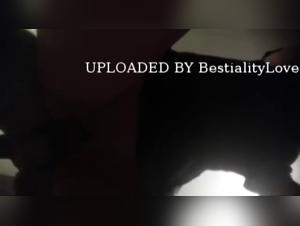 Dog rapes woman, extreme sex