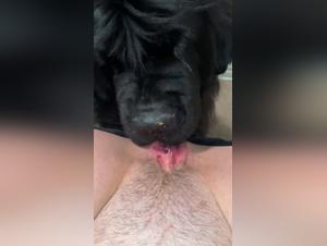 Extreme Sex with Dog and Hot Girlfriend: The hottest sex scene ever