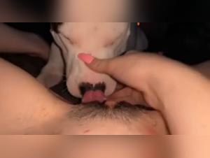 unveiling canine pleasures