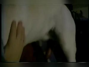 Caledonian: Put@ suce perro, escenas extremas