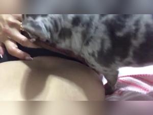 A Passionate Encounter: A Tale of Bestiality and Desire