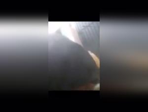 Bestiality sex videos featuring dogs