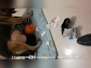 asian bitch dog sex