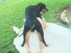 Brazilian woman and her dog: a zoophilia video not to be missed